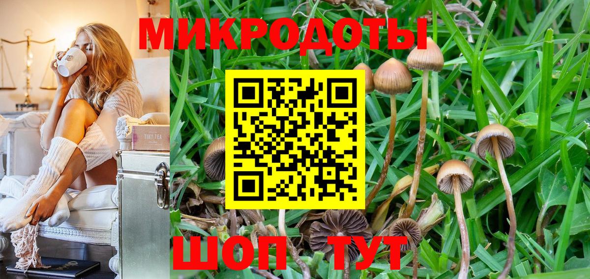 Хасавюрт  Галлюциногенные грибы Psilocybine cubensis  купить наркотики сайты  Вход с VPN 